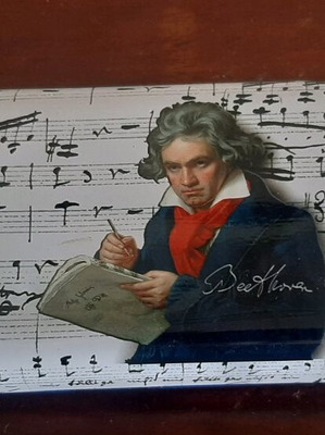 Θήκη γυαλιών Ludwig van Beethoven