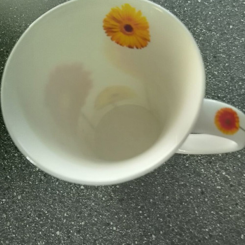 Konitz XL Mug bone china floral design like new