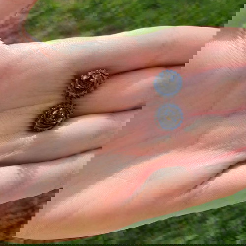 Σκουλαρίκια Μαύρα Καρφωτά Ασήμι 925 με Ζιργκόν Νέα