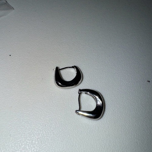 Earrings new stainless steel