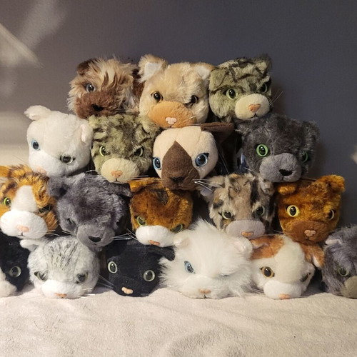 The Cat Collection like new, cat plush collection in box