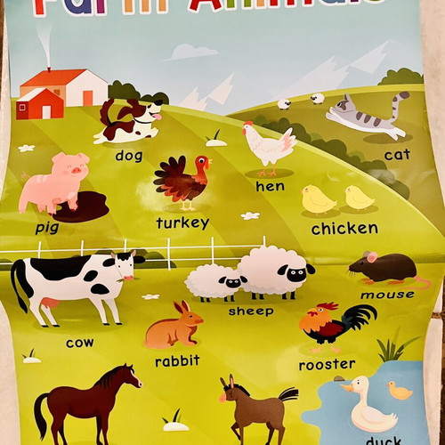 English learning posters like new for kids' room or classroom