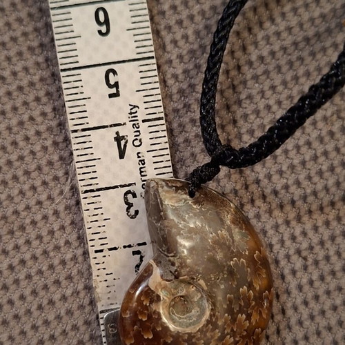 Ammonite pendant necklace, polished, adjustable string