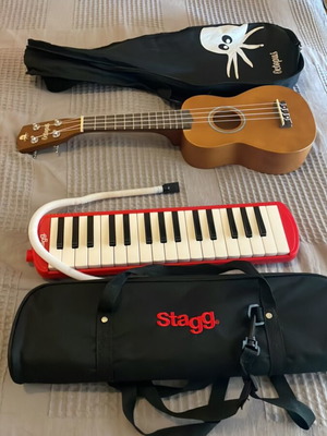 Ukulele and clarinet for children