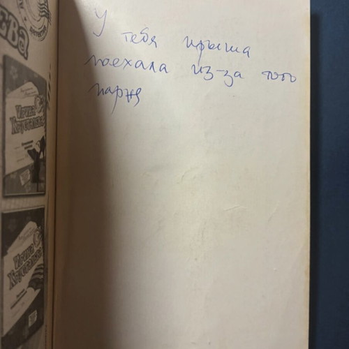 Russian detective novel "Dama from Amsterdam" by Anna Danilova, used