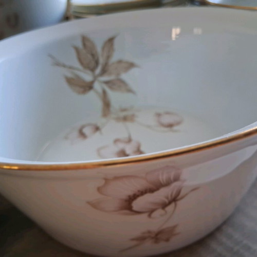 Rosenthal Selb Bavaria 65-piece vintage dinner set like new