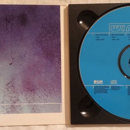 Wink Are You There CD near mint, electronic