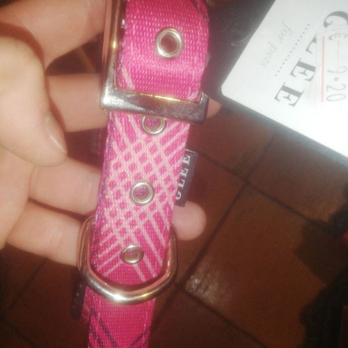 Glee dog collar pink large 25mmX61cm new