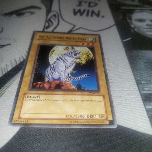The All-Seeing White Tiger Yu-Gi-Oh! card used, Pharaoh's Servant
