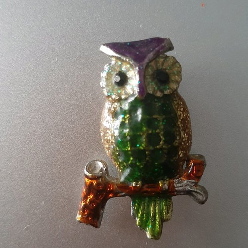 Owl magnet used