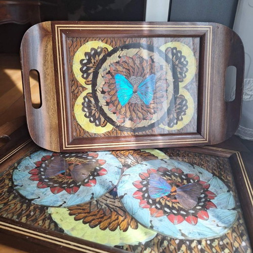 Decorative trays with real butterflies new, 70-year-old heirloom set of 2