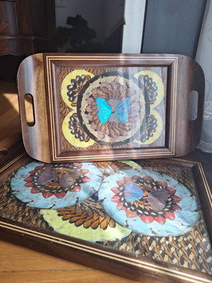 Decorative trays with real butterflies new, 70-year-old heirloom set of 2