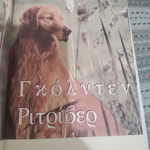 The Golden Retriever book by Julie Cairns