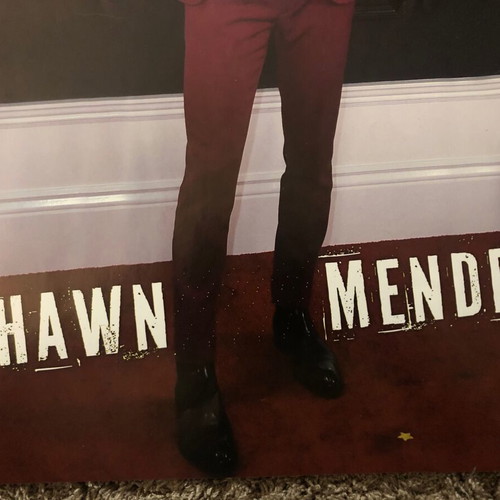 Shawn Mendes poster like new from U girl magazine