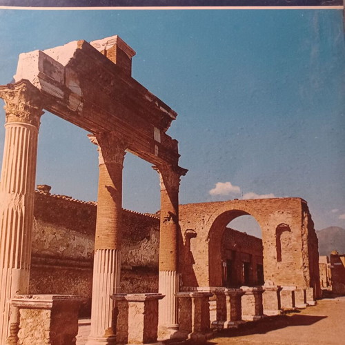 All Pompeii book like new, English