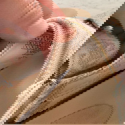 Guess σανδάλια μπεζ μονόγραμμα 39 σε άριστη κατάσταση