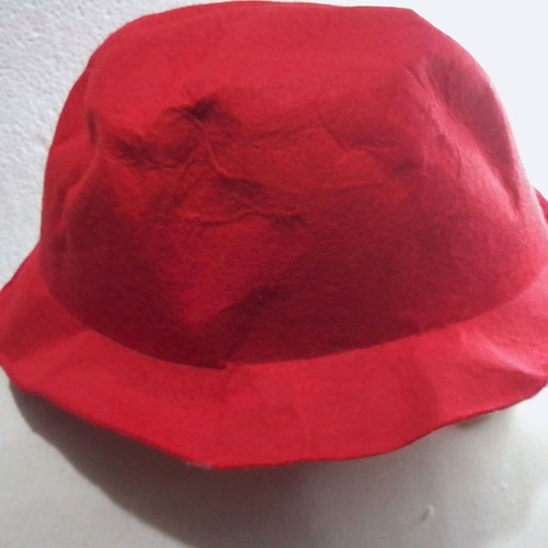 Pandigton carnival hat used