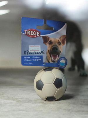 Trixie Dog Toy 6cm new, foam rubber