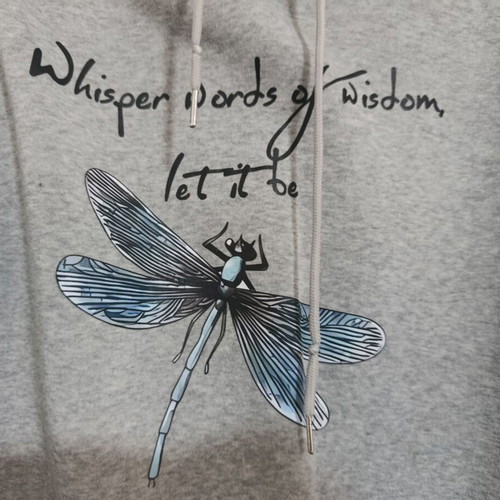 Shein women's grey hoodie with dragonfly print size S like new