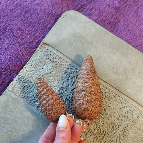 Pine cones set of 2 for Christmas decoration