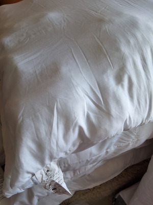 FAM Home pillows set of 2 80x80 cm new, microfiber, hypoallergenic