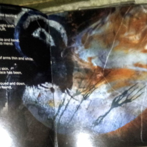 The Ram Rich Shapero CD used, folk rock with booklet