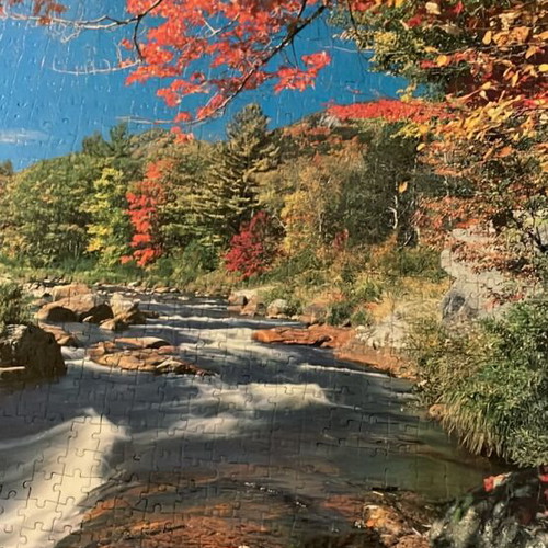 Puzzle board like new with river landscape and blooming tree