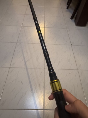 Daiwa fishing rod used, 2.25m, 2-8g