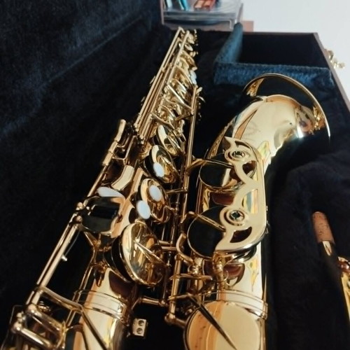 Maxtone SX-69T/GL Tenor Saxophone like new with hard case