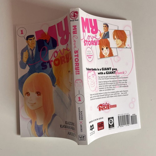 My Love Story Manga Volume 1 Like New