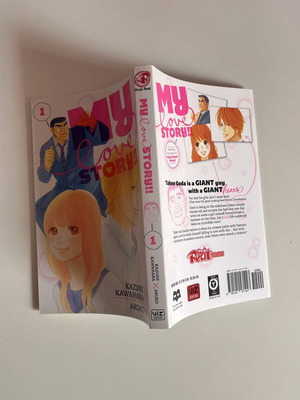 My Love Story Manga Volume 1 Like New