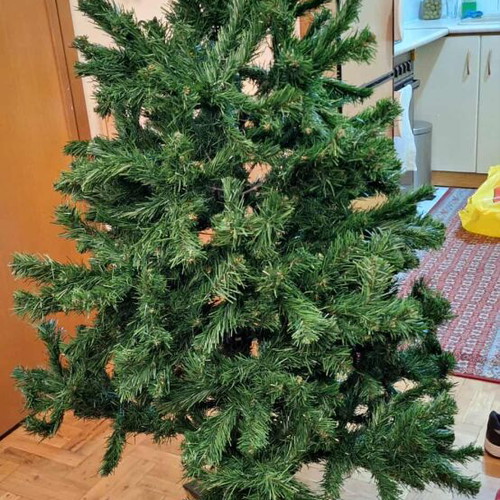 Christmas Tree 1.65 m like new, dense