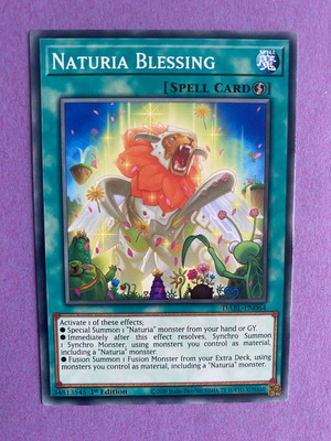 Naturia Blessing Yu-Gi-Oh Card like new