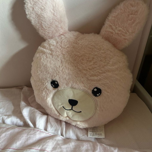 Plush pillow new in excellent condition