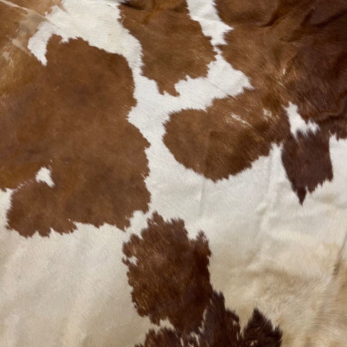 leather carpet