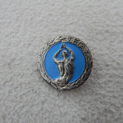 Segas metal commemorative pin like new, authentic