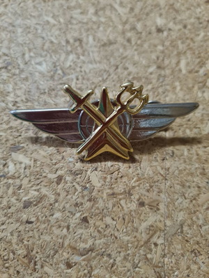 Metal Air Defense Badge gold new