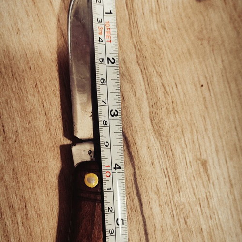 Gabrovska Nozhka Knife new, handmade with walnut and plum handles