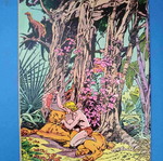 Kazar The Savage 20 comic book used, English