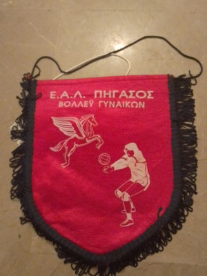 E.A.L. Pegasos Volleyball Banner large like new