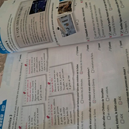 Delf A1 Teacher's Book with Tests new with answers