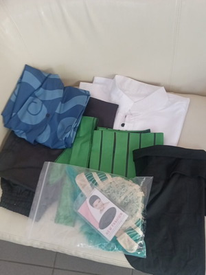 Roronoa Zoro Arlong Park One Piece costume new with wig