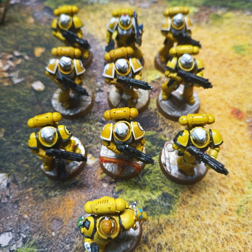 10 Space Marines Imperial Fists miniatures