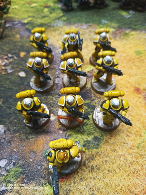 10 Space Marines Imperial Fists miniatures
