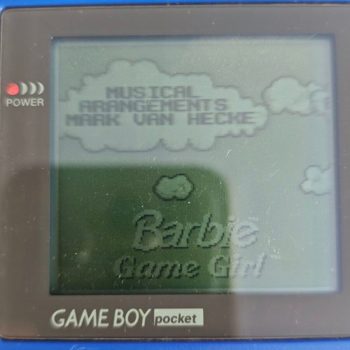 Nintendo Game Boy Pocket used in very good condition