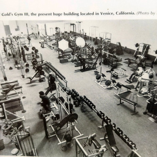 The Gold's Gym Book of Bodybuilding book like new, vintage volume 310