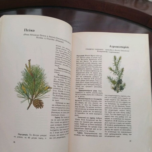 Medicinal herbs and their uses used book