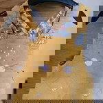  Σαλοπέτα φόρεμα κ μπλούζα 9-12 μηνών