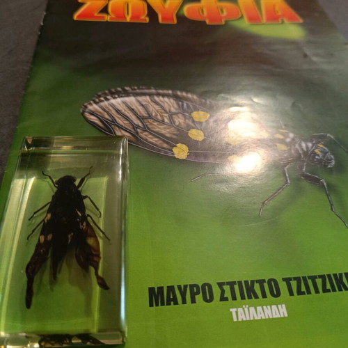Alithina Zofyia Issue 36 used