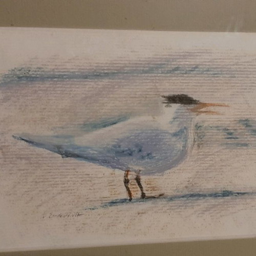 Bird paintings set of 2 new with wooden frames